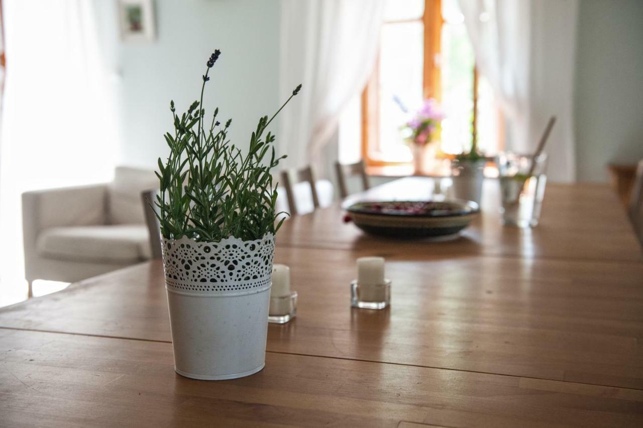 Potoczek 19 Villa Miedzylesie  Ngoại thất bức ảnh